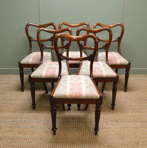 William IV Mahogany Antique Balloon Back Chairs