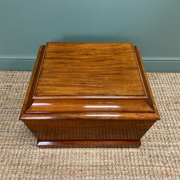 Small Regency Mahogany Antique Cellaret / Wine Box