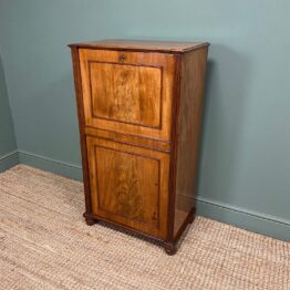 Regency Mahogany Antique Estate Cupboard with Fitted Interior