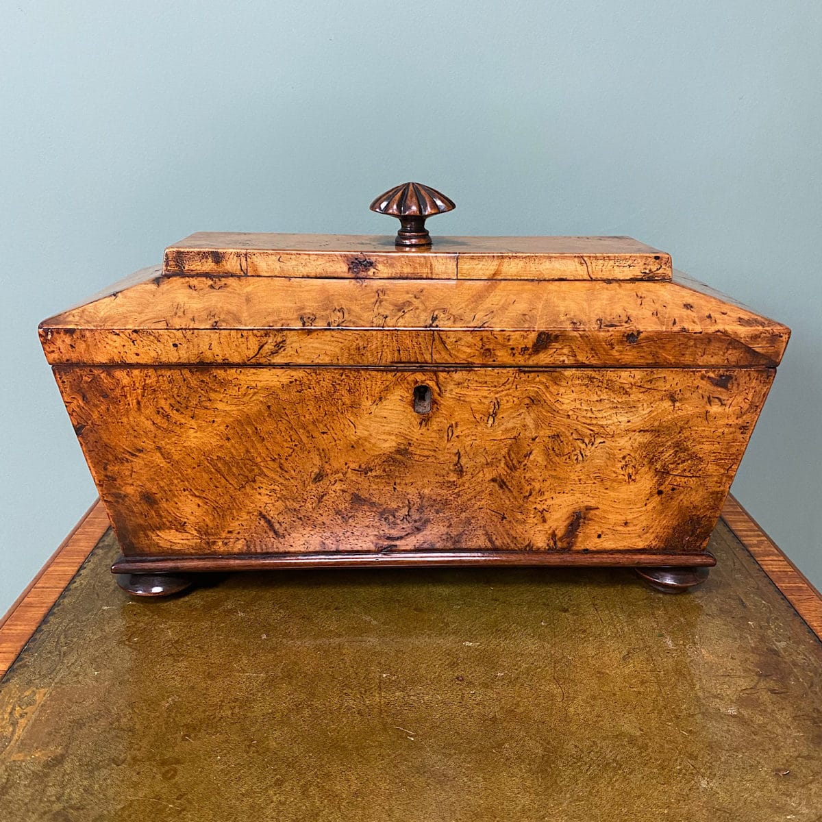 Rare Burr Elm Antique Tea Caddy Antiques World