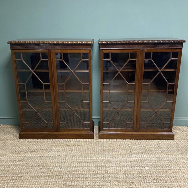 Stunning Pair of Antique Bookcases Antiques World
