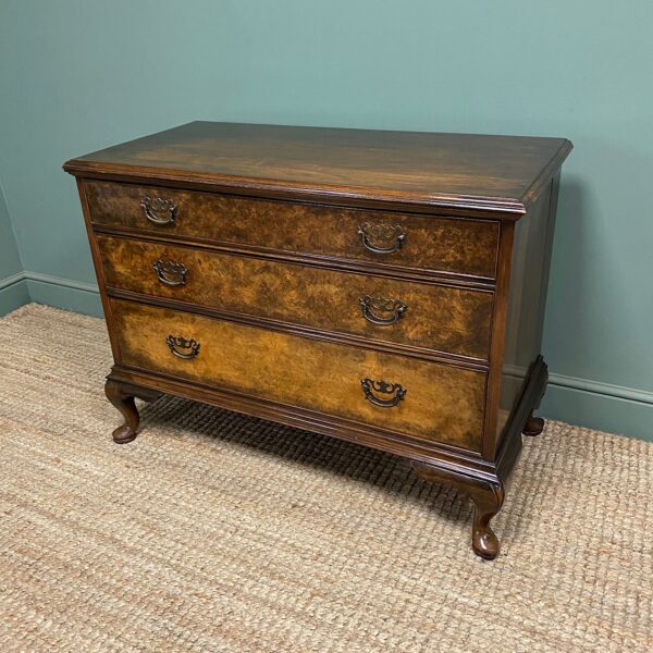 Spectacular Antique Edwardian Walnut Chest of Drawers