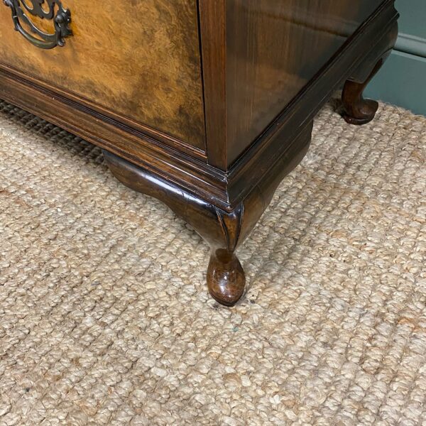 Spectacular Antique Edwardian Walnut Chest of Drawers