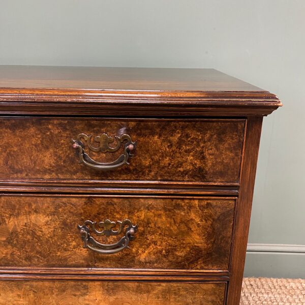 Spectacular Antique Edwardian Walnut Chest of Drawers