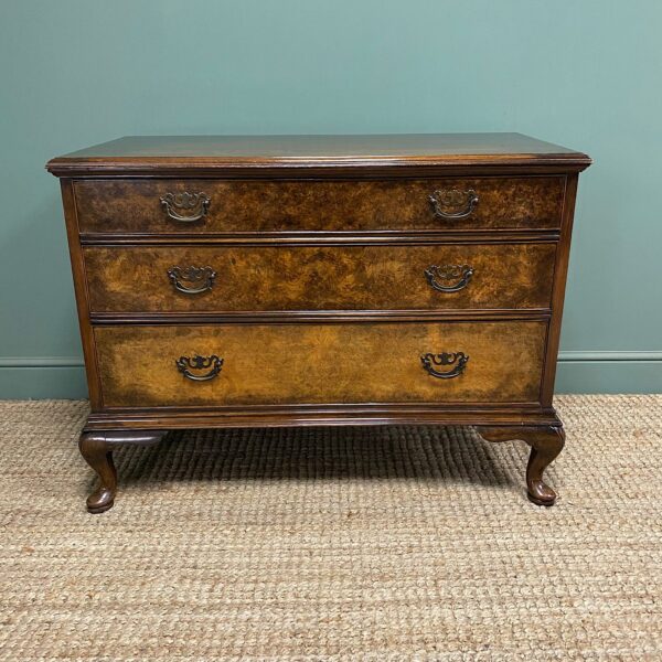 Spectacular Antique Edwardian Walnut Chest of Drawers