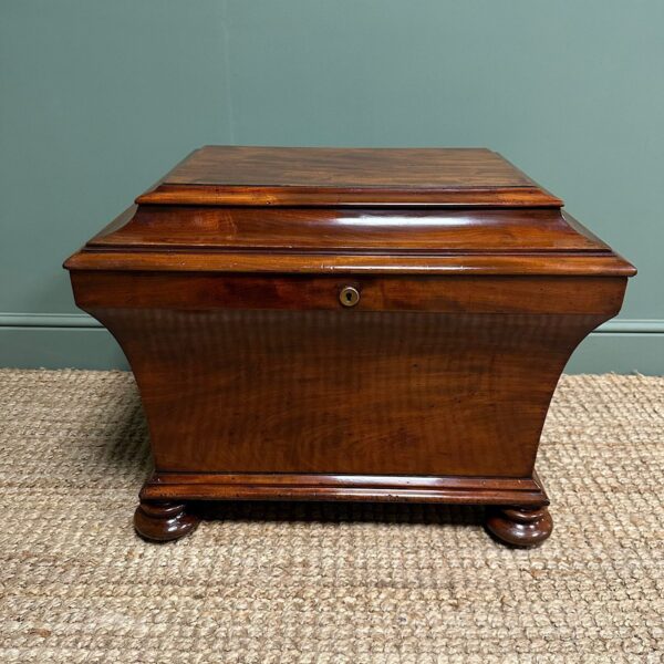 Superb Quality Regency Antique Cellarette / Wine Cooler