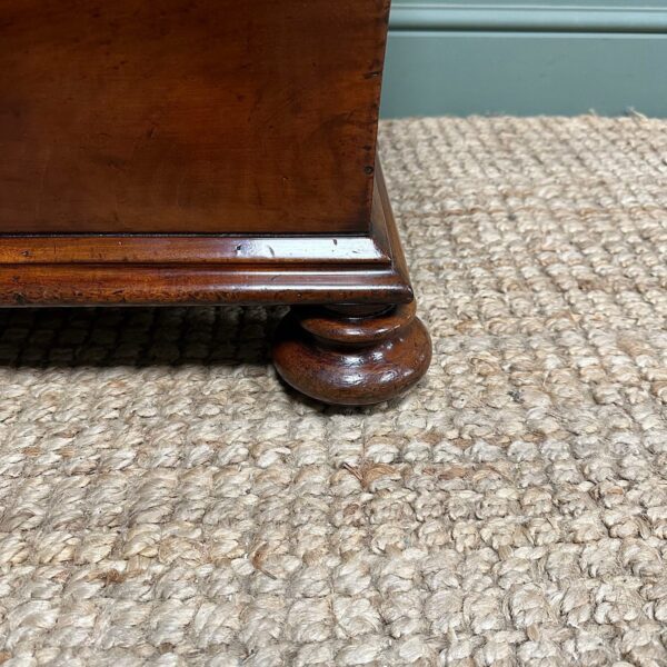 Superb Quality Regency Antique Cellarette / Wine Cooler