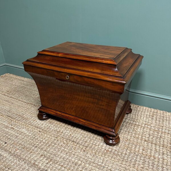 Superb Quality Regency Antique Cellarette / Wine Cooler