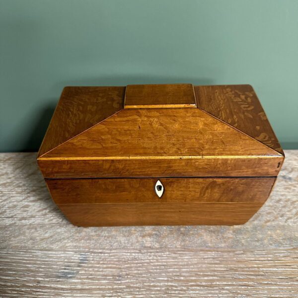 Superb Quality Antique Tea Caddy
