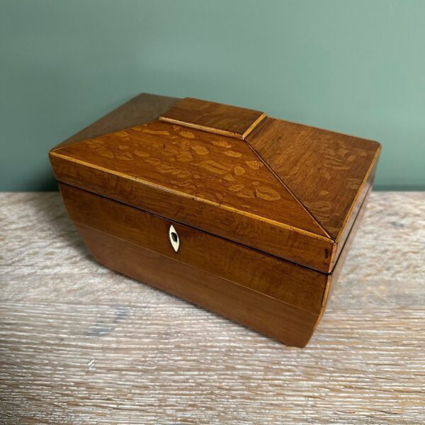 Superb Quality Antique Tea Caddy