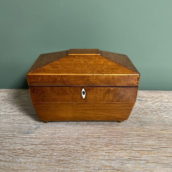 Superb Quality Antique Tea Caddy