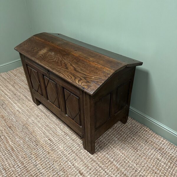 Unusual 18th Century Dome Top Country Oak Antique Coffer
